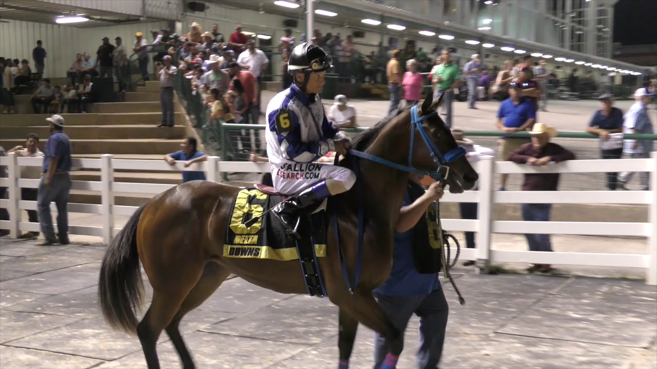 2018 Lassie Futurity(RG2)Recap YouTube