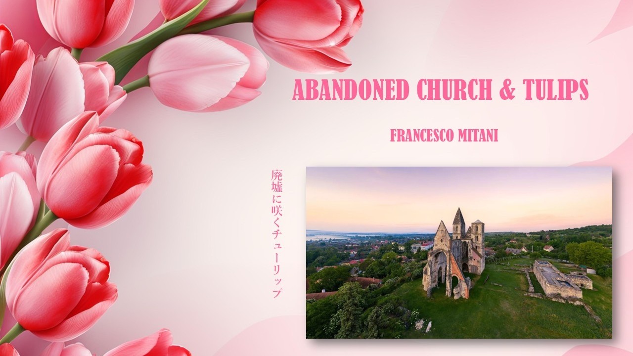 Abandoned Church & Tulips （廃墟に咲くチューリップ）