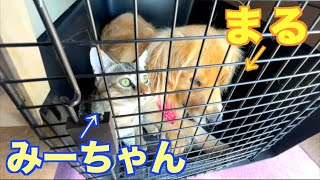 そこで２人で何してんの？？