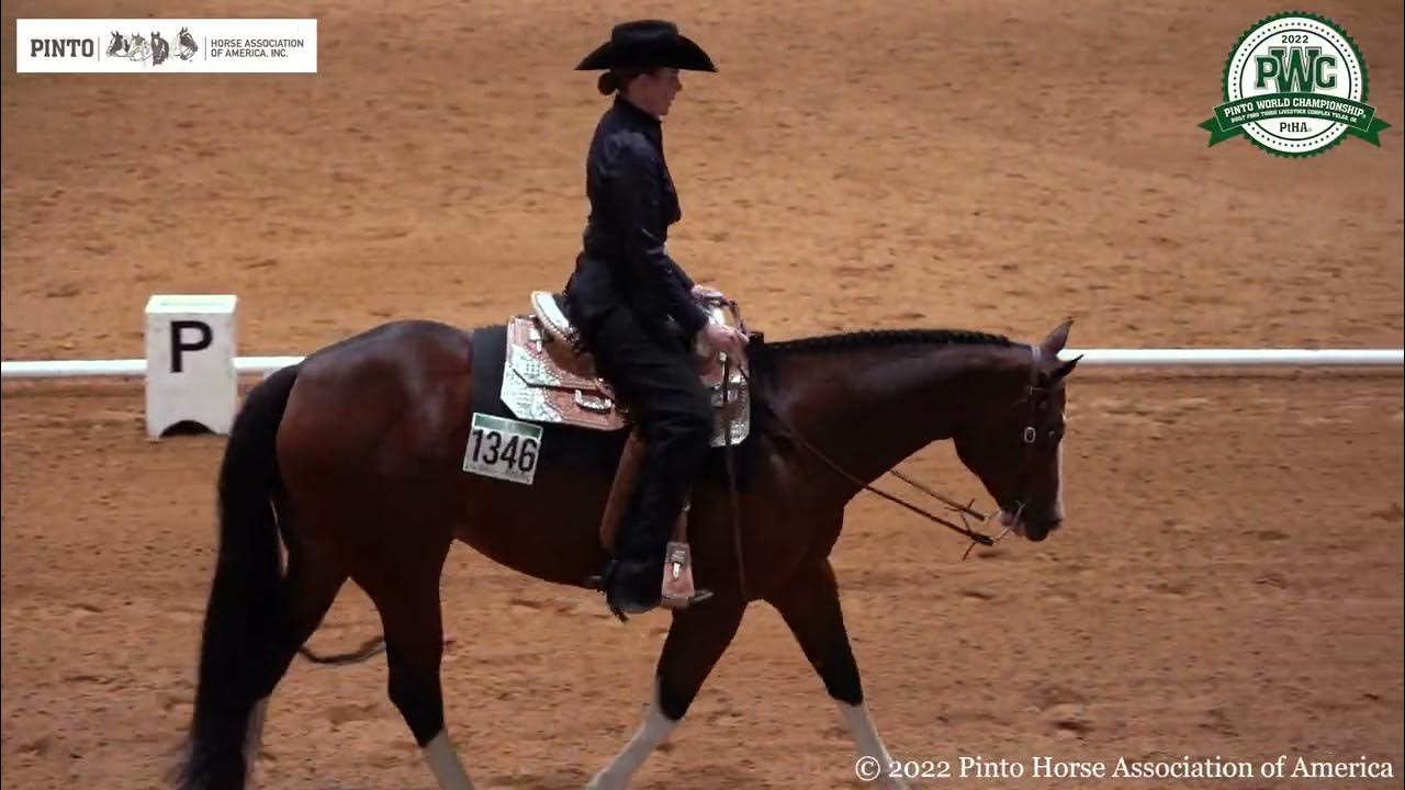 Pinto World Championship Day 9 YouTube