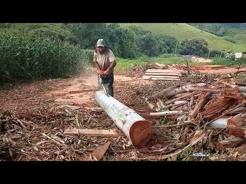 Vídeo: Você tem que remover lascas?