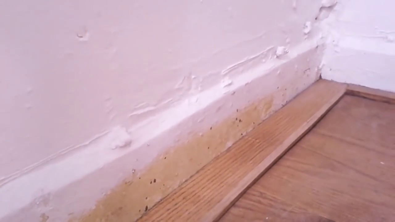 Painting Under The Stairs YouTube