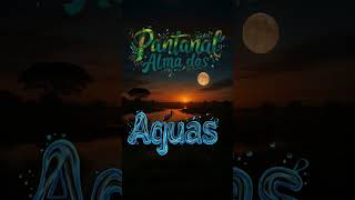 Pantanal Alma das Águas. #modadeviola #viola #sertanejo #shorts#pantanal