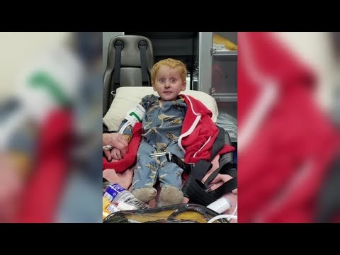 Montana boy found alive after 2 days lost in forest