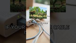 Your Wi-Fi Isn’t Slow… Check This Cable