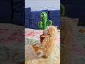 Hilarious Reaction Kitten Gets Angry at Dancing Cactus