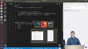 The Rust Book (v2) part 38 - Chapter 10 - Lifetimes