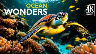 Stress Relief for 30-Something Professionals-Ocean Wonders-4K Beautiful Coral Reef Fish Videos