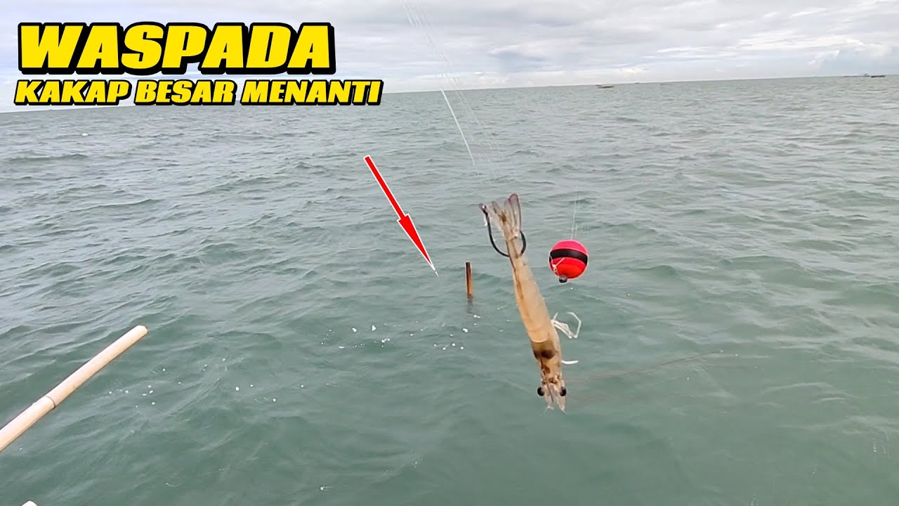 NGAK BISA MAIN MAIN..!! MANCING IKAN KAKAP BESAR DI BAGAN SELALAU BIKIN TEGANG KETIKA DI SAMBAR