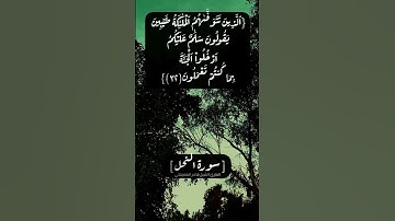 سورة النحل الآية ٣١ الى ٣٣ بصوت الشيخ ماهر المعيقلي