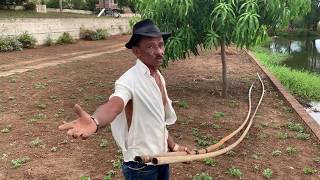 Tiringa Responde Aos Fãs ... Você Usa Crocs? Oh Bicho Bruto Comédia Selvagem