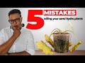 5 Semi-Hydro Mistakes Killing Your Plants Right Now