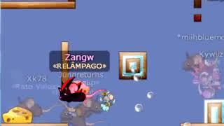 Transformice - Zangw || O Retorno !
