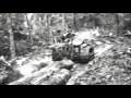 West Virginia Logging Film, 1928