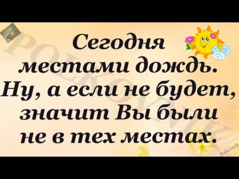 С юмором по жизни! Смотреть на свою женщину...