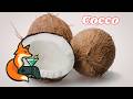 Crema di Cocco - Utilizzo e Conservazione. Come utilizzare una crema così densa? Scopriamolo insieme