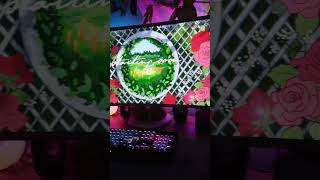 Coquette Streamer ?? Streamette