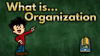 What is Organization?