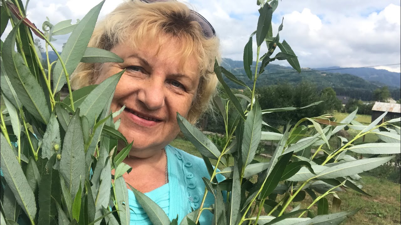 Тучи надвигаются , а мне нужен позитив ! - YouTube