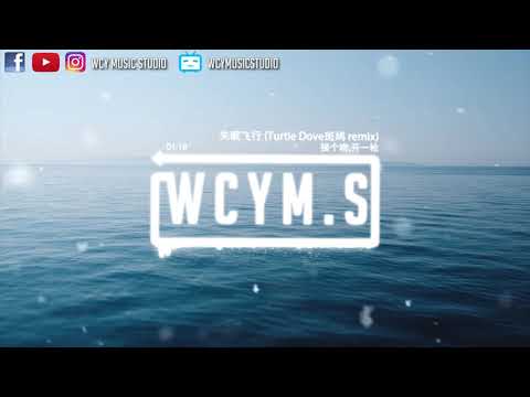 接个吻,开一枪-失眠飞行 (Turtle Dove斑鸠 remix)