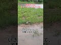 これは正当防衛でしょうか？それとも…？