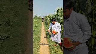 the Escape prisoners 😭🙏 #funny #comedy #ytshorts