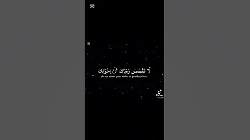 سوره يوسف من ايه ٤ الى آيه ٥ الشيخ ياسر الدوسري