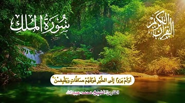 Surah Mulk سورة الملك بصوت القارئ الشيخ محمد عبيدالله تلاوة خاشعة #qurantilawathearttouchingvoice