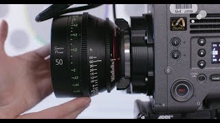 At the Bench: Canon Sumire Lenses In-Depth