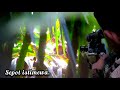 🔴 BERBURU AYAM HUTAN‼️ AYAM HUTAN SUPER JINAK.