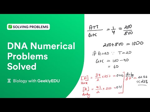 #GeeklyHub How to Solve DNA Numerical Problems | DNA Structure | Genetics