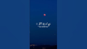 سورة الأعلى  - محمد الفقيه  #تلاوة_خاشعة #راحة_نفسية