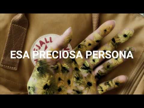 LEDApple Let The Wind Blow SubEsp