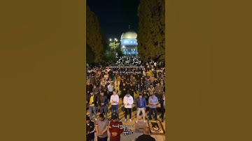القارئ طارق محمد - TAREQ MUHAMMAD