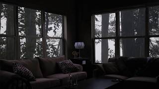 Calming rain in cozy living room ambience - Raining in the forest, relax, study, sleep [1 hour]