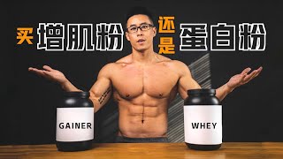 What are the functions of muscle building powder and protein powder? Which to choose?