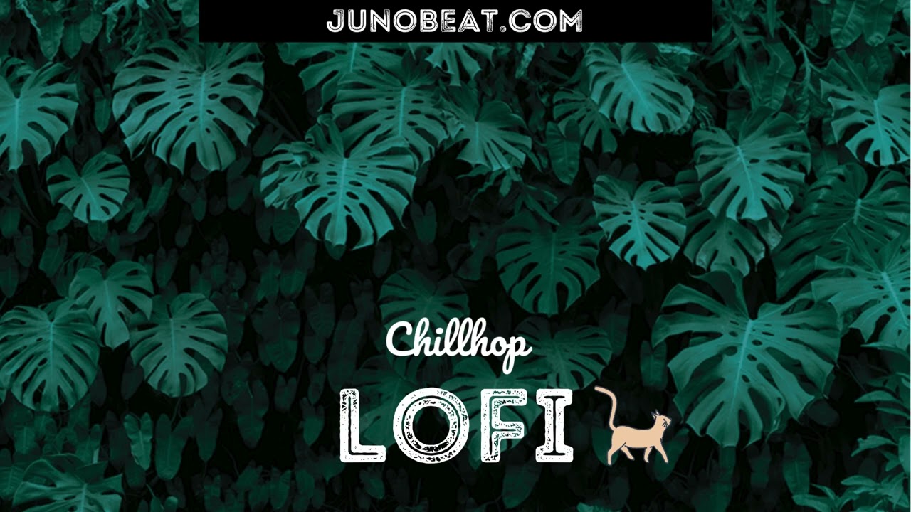 Watch junoBeat LOFI 2023-12-31 on YouTube Watch junoBeat LOFI 2023-12-31 on YouTube