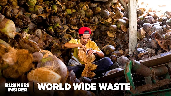 How Biodegradable Coolers Are Made Out Of Coconut Waste | World Wide Waste | Business Insider