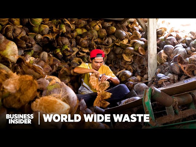 Can Coconuts Replace Plastic Foam Coolers? | World Wide Waste | Business Insider