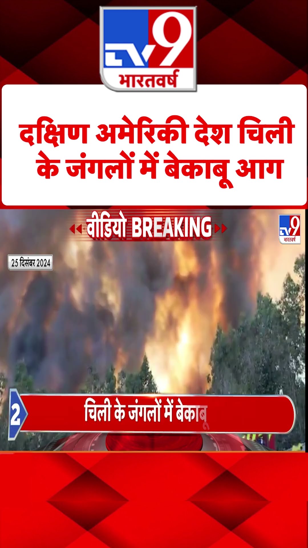 America Fire News: दक्षिण अमेरिकी देश चिली के जंगलों में बेकाबू आग | #shorts