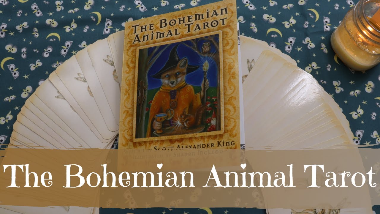 OMG the guidebook tho! 🤩🤩 Bohemian Animal Tarot First Impressions Walkthrough