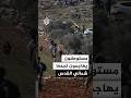 مستوطنون يهاجمون تجمعا شمالي القدس