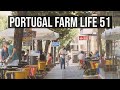 Portugal Farm Life 51 - Fundao visit and how to import a car in Portugal
