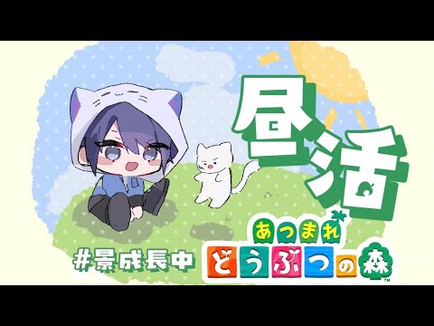 【あつまれどうぶつの森】高級街時々、広場時々、カブドリーム【長尾景/にじさんじ】