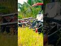 Máy Cắt Lúa Kubota DC 105X