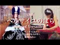 【ヴィオリラ】ベルサイユのばら(宝塚歌劇版)弓でも弾ける大正琴~violyre cover【Mirei Kishiro】