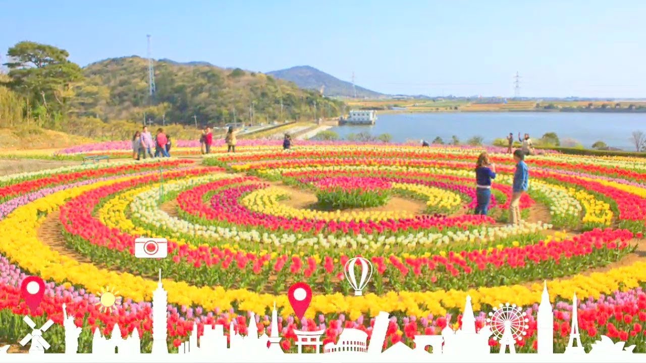 Tulip Garden Jammu Kashmir Tulip Festival Srinagar Youtube