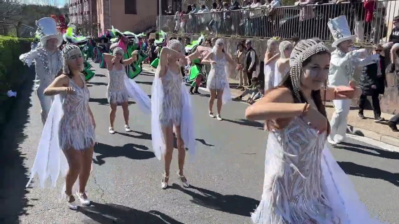 COMPARSA INTXAUR TXIKI. Carnavales de Donostia 2025