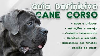 GUIA DE RAÇAS COMPLETO SOBRE O CANE CORSO! | CANAL MAIS PET