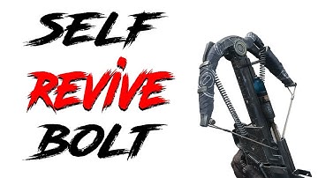 Can You Self Revive with Revive Bolts In Hunt Showdown 1896?